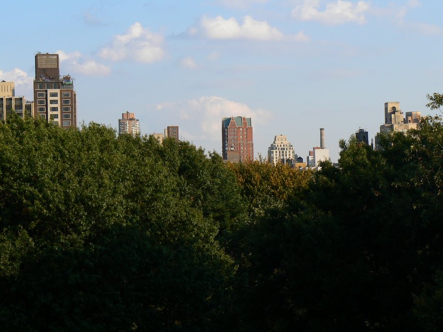 Central Park: Central Park 096
